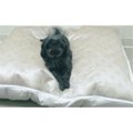 Poochpad Poochpad PPBED4230BE Large Dog Bed in Beige PPBED4230BE